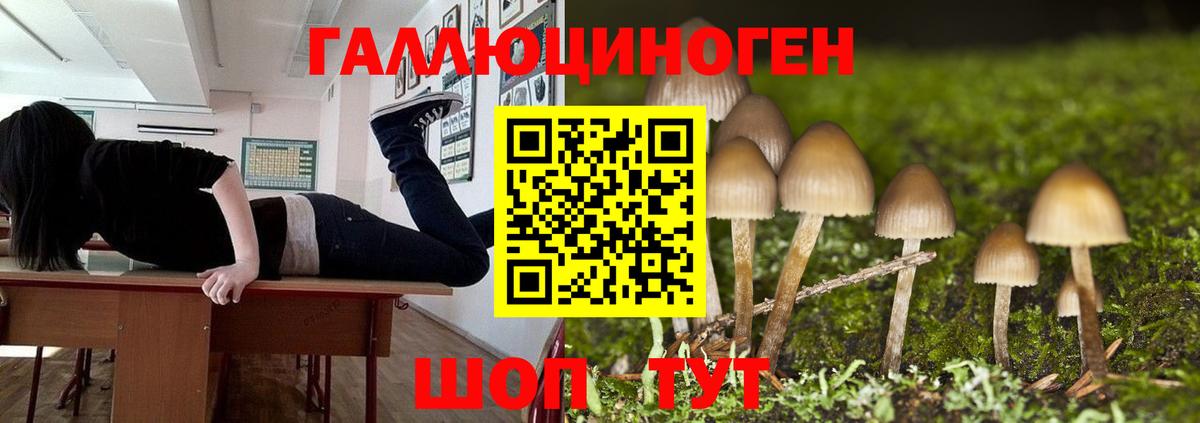 купить  сайты  Псилоцибиновые грибы ЛСД  Галлюциногенные грибы GOLDEN TEACHER  Вход с VPN  Горно-Алтайск 